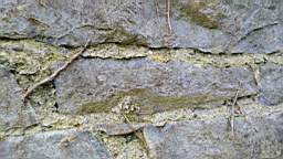 acastle 105875.jpg